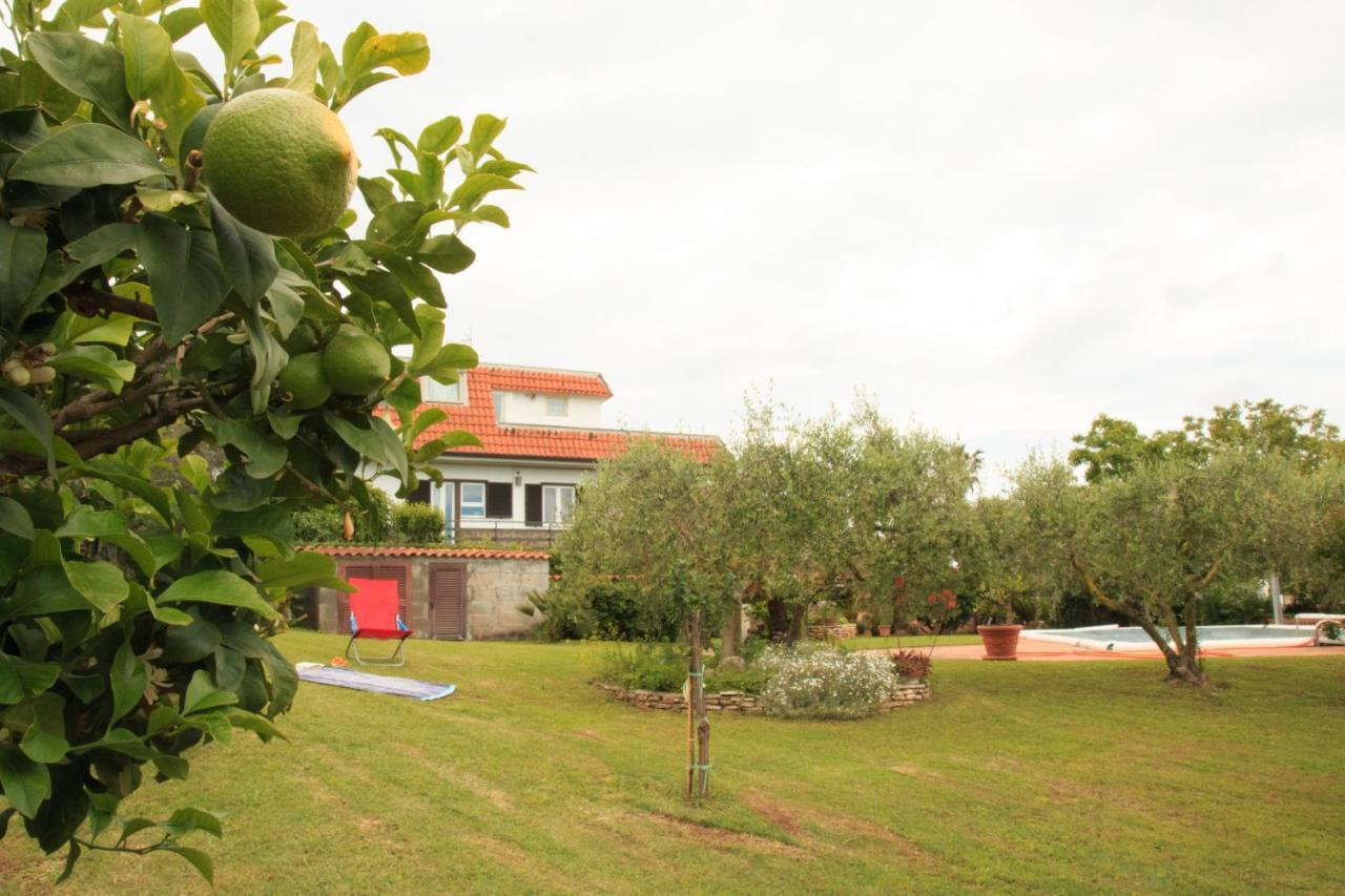 Apartamento A Casa Di Iole Cogna Exterior foto